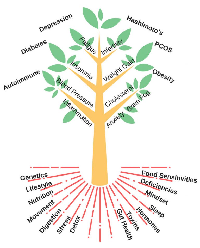 Functional Medicine Holistic Icon Functional And Integrative Medicine